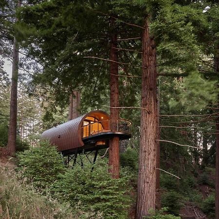 ~* The Spectacular Spyglass Treehouse *~ Occidental Zewnętrze zdjęcie