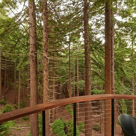 ~* The Spectacular Spyglass Treehouse *~ Occidental Zewnętrze zdjęcie