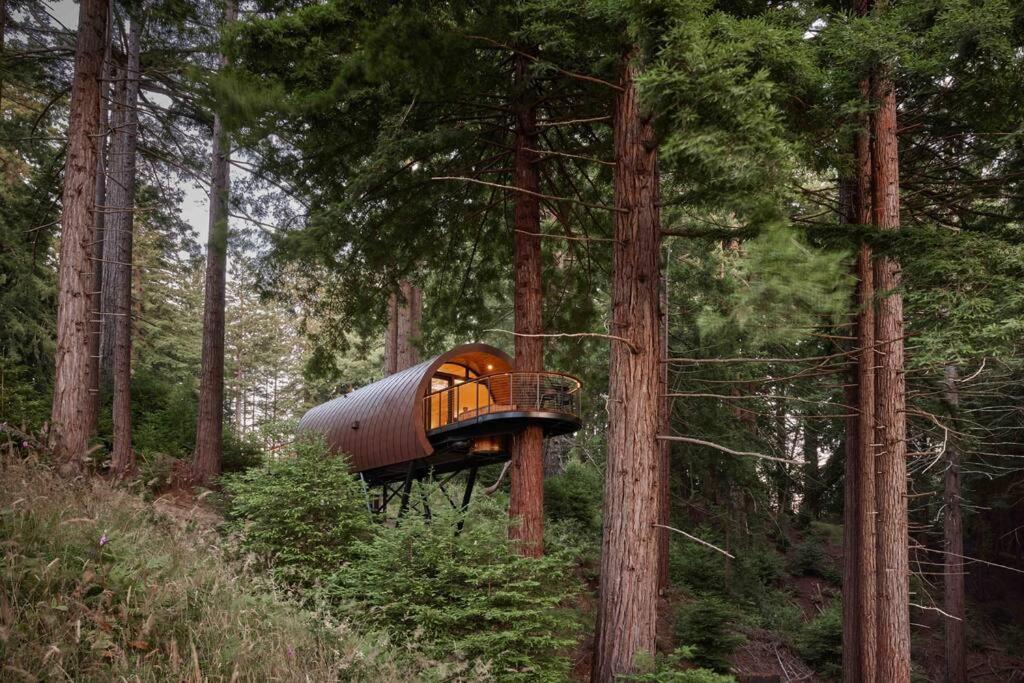 ~* The Spectacular Spyglass Treehouse *~ Occidental Zewnętrze zdjęcie